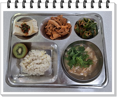 20250728 - 식단(중)